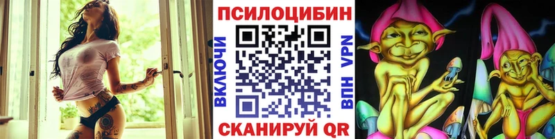 Купить закладки  Севск  Псилоцибиновые грибы мухоморы 